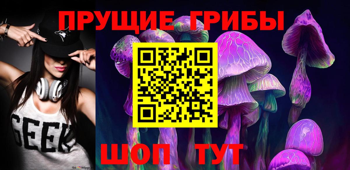 Псилоцибиновые грибы мицелий Губаха